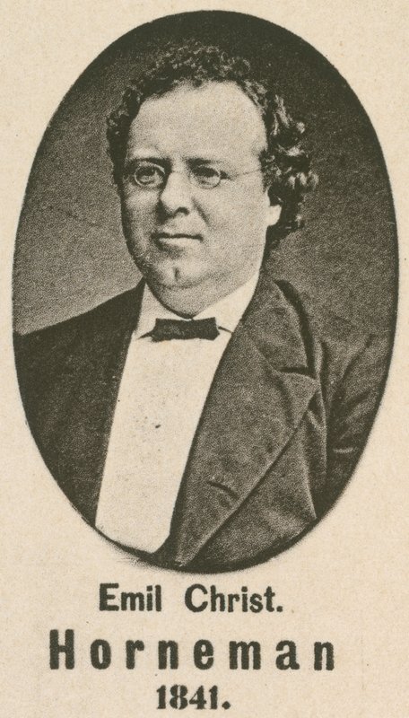 Emil Christian Horneman (gravura) de English School