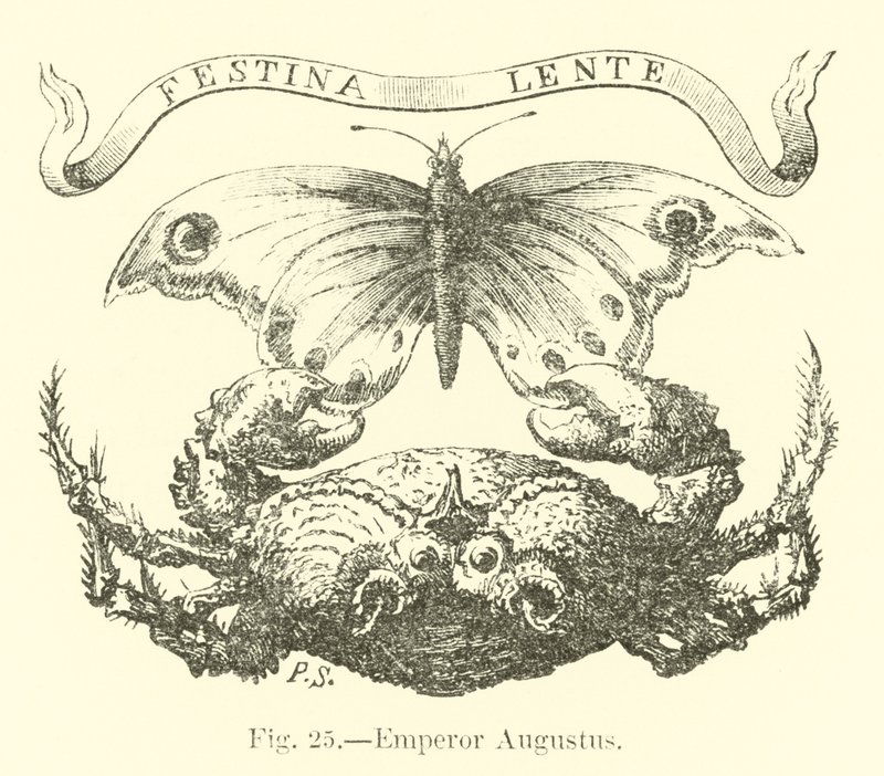 Imperador Augusto de English School