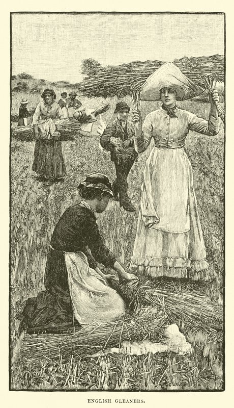 Inglês gleaners de English School