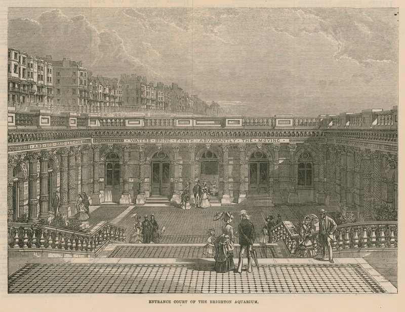 Tribunal de entrada do aquário de Brighton de English School