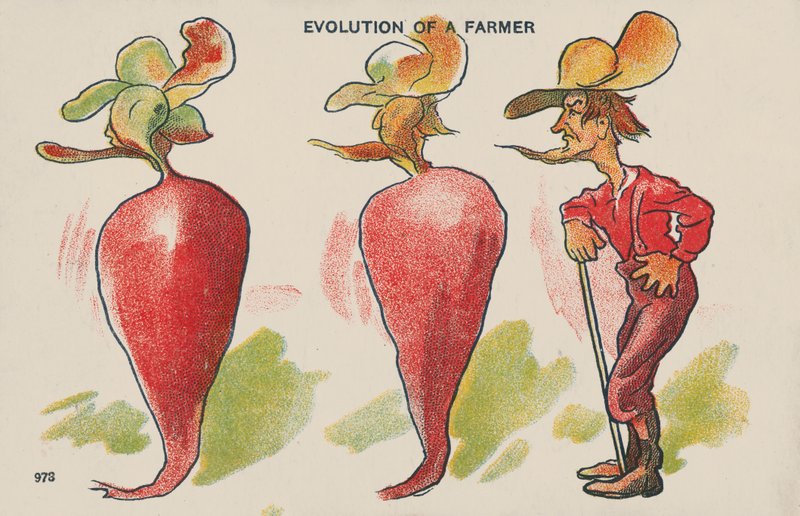 Evolução de um agricultor (litografia a cores) de English School
