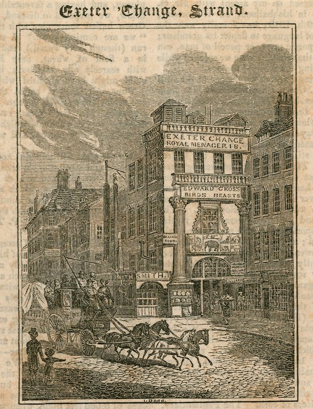 Exeter Change, The Strand, Londres de English School