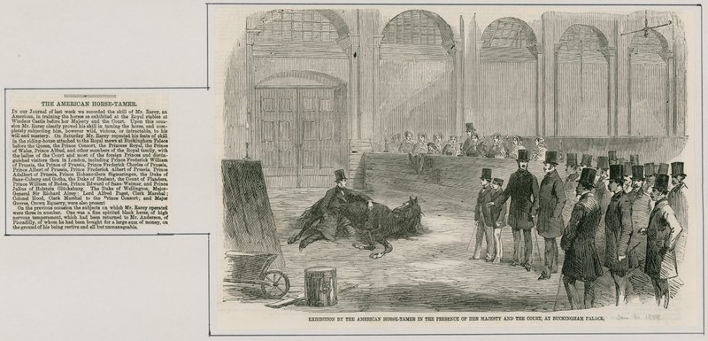 Exposição do domador de cavalos americano na presença de Sua Majestade e do Tribunal, no Palácio de Buckingham de English School