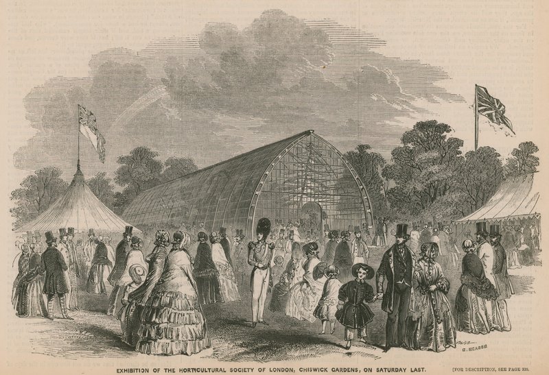 Exposição da Sociedade Hortícola de Londres, Chiswick Gardens de English School