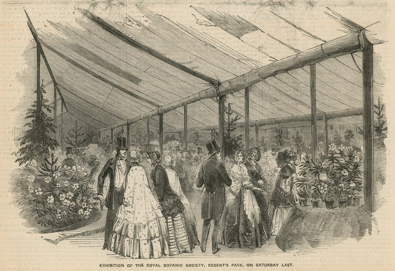 Exposição da Royal Botanic Society de English School