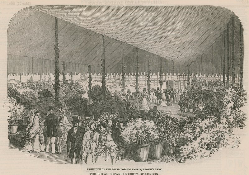 Exposição da Royal Botanic Society de English School