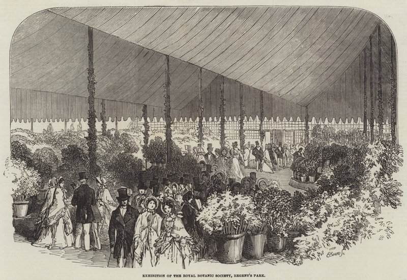 Exposição da Royal Botanic Society, Regent