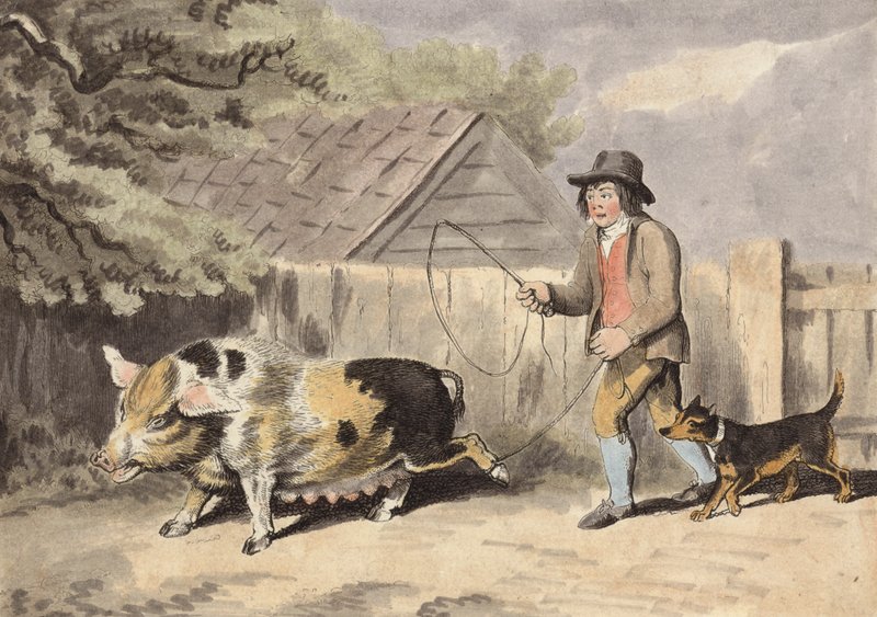 Agricultor que leva o seu porco para o mercado (gravação a cores) de English School