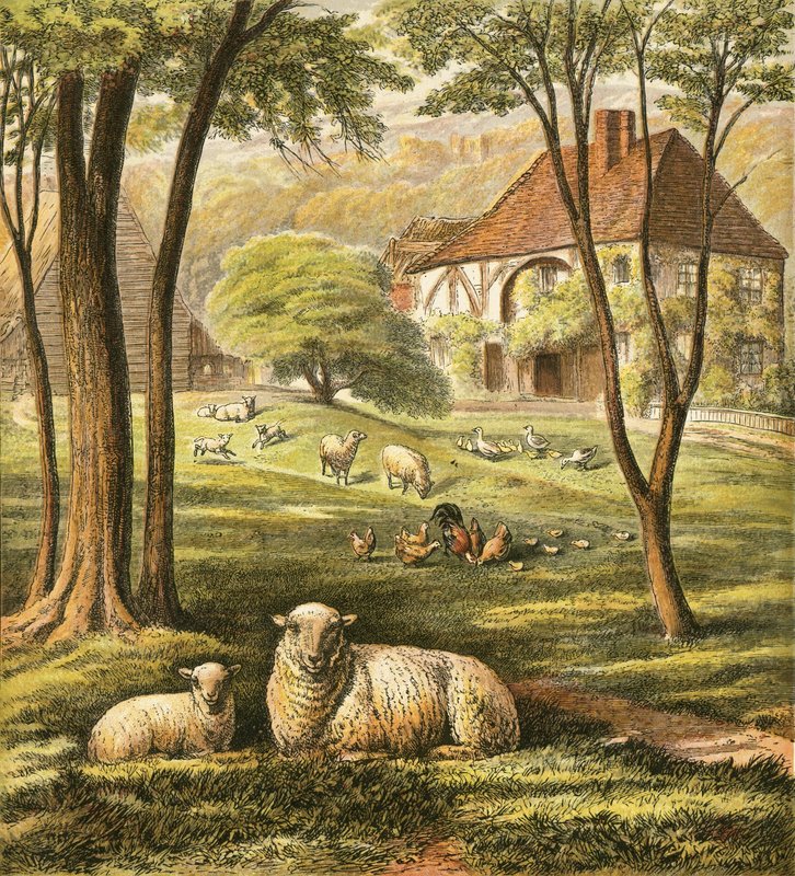 Casa de fazenda de English School
