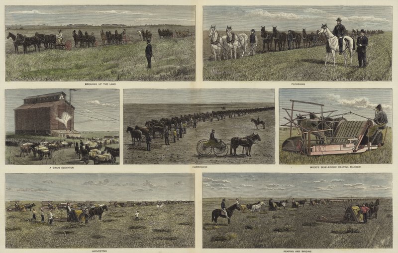 Agricultura nas planícies da América do Norte de English School