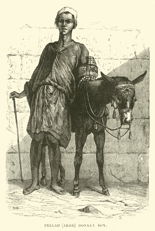 Fellah, árabe; menino burro de English School