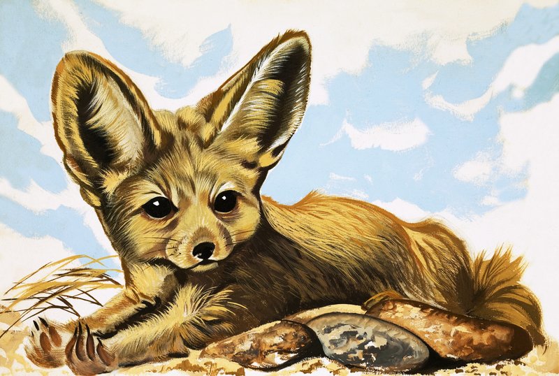 Fennec de English School
