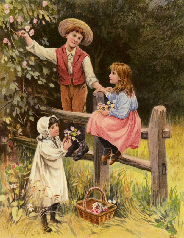 Flores do campo (litografia a cores) de English School