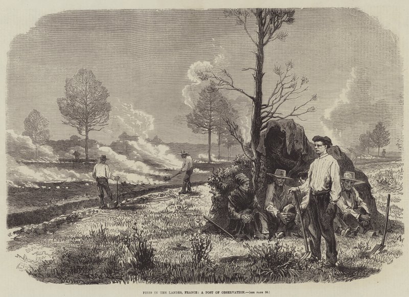 Incêndios nas Landes, França, um posto de observação (gravura) de English School