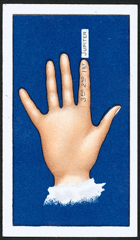 Primeiro Dedo (cor litho) de English School