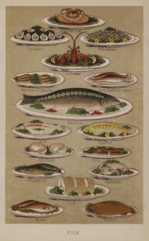 Peixe de English School