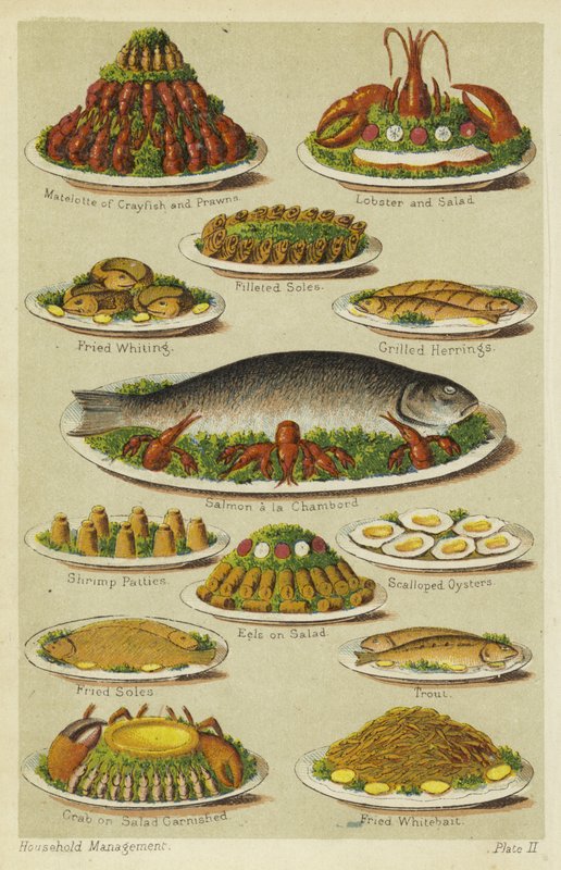 Pratos de peixe e marisco de English School