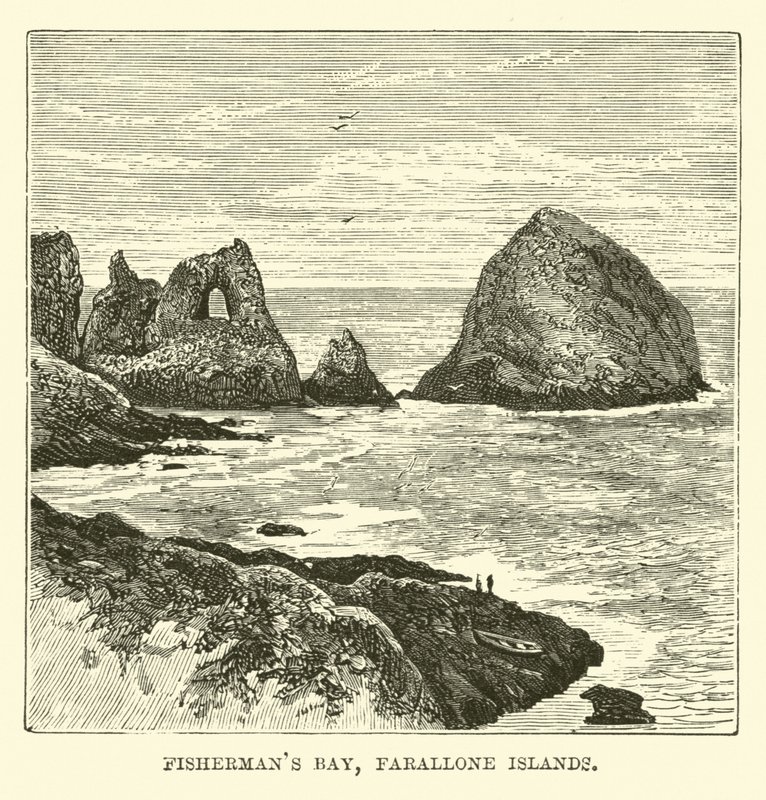 Fishermans Bay, Ilhas Farallone de English School