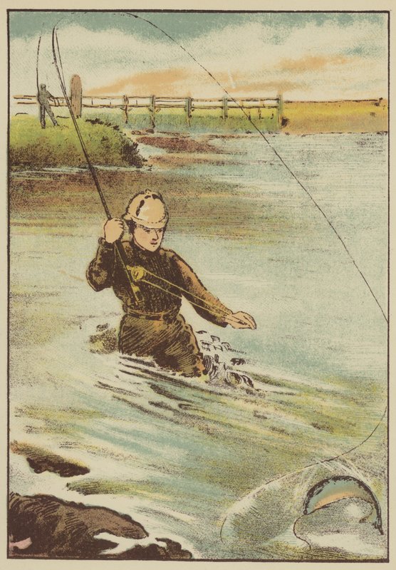 Pesca da truta (gravura colorida) de English School