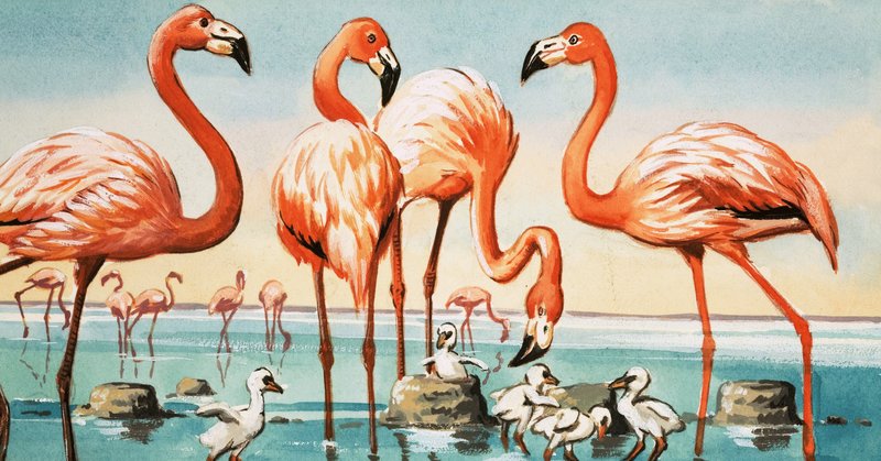 Flamingos de English School