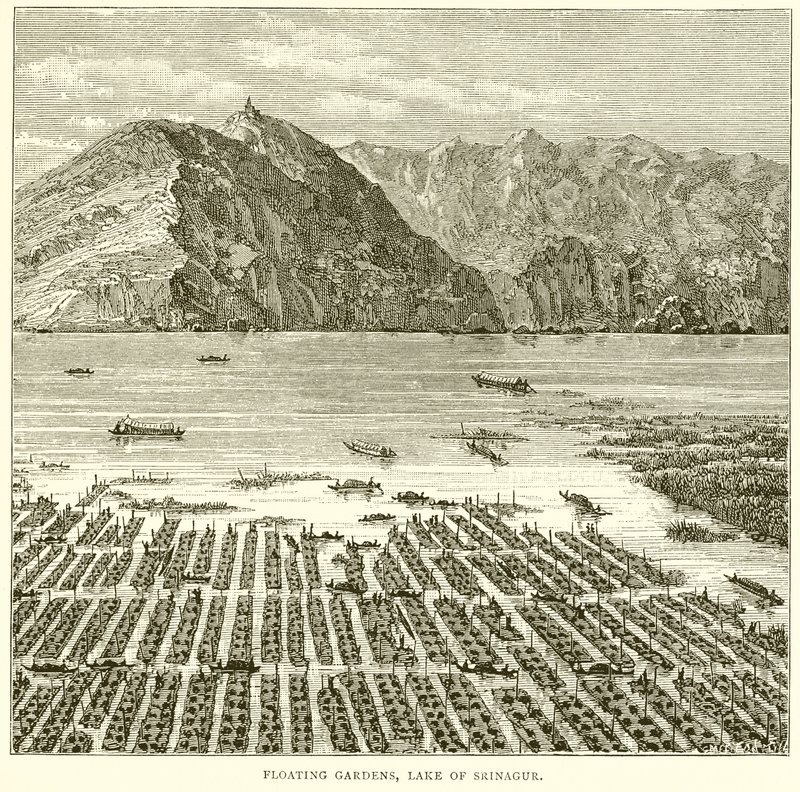 Jardins Flutuantes, Lago de Srinagur de English School