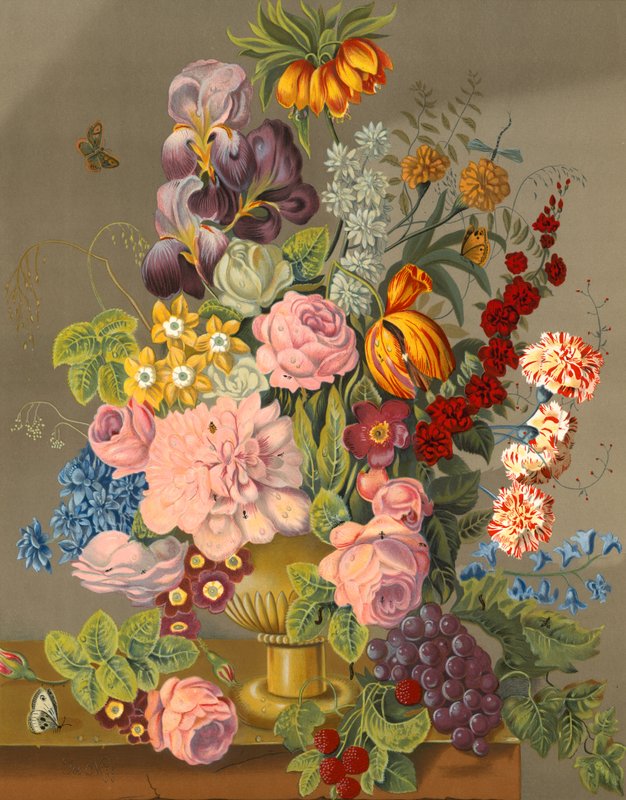 Exposição floral de English School