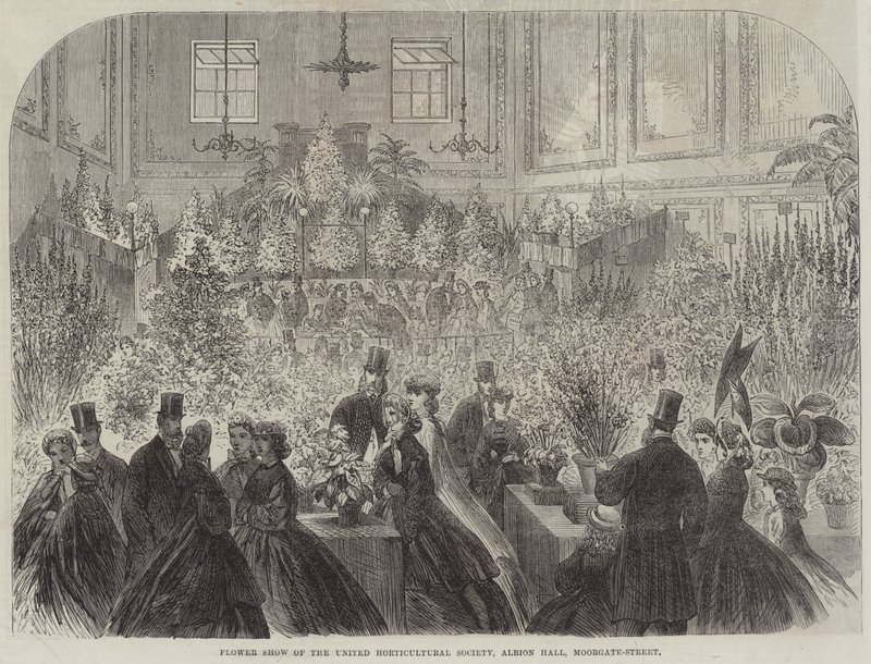 Show de Flores da Sociedade Unida de Horticultura, Albion Hall, Moorgate-Street (gravura) de English School