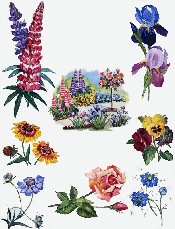 Flores de English School