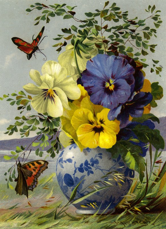 Flores e borboleta de English School