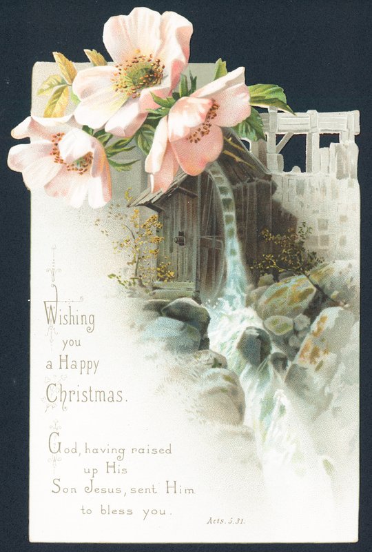 Flores e cascata de água, cartão de Natal de English School
