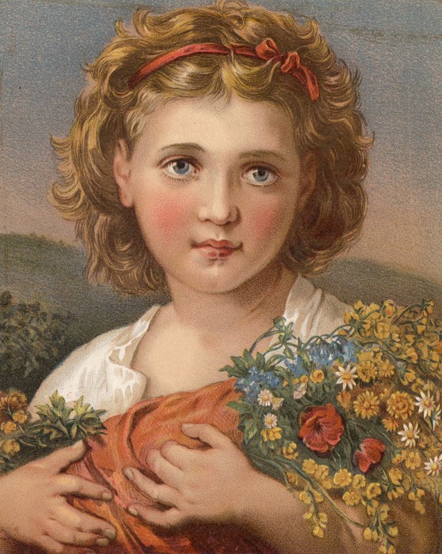Flores do Campo (cor litho) de English School