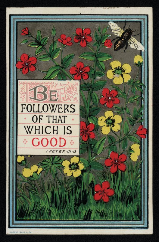 Flores com um versículo bíblico de 1 Pedro 3:13, cartão de felicitações. (cromolitho) de English School