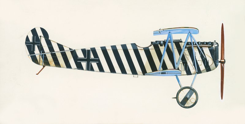 Fokker D VII de English School