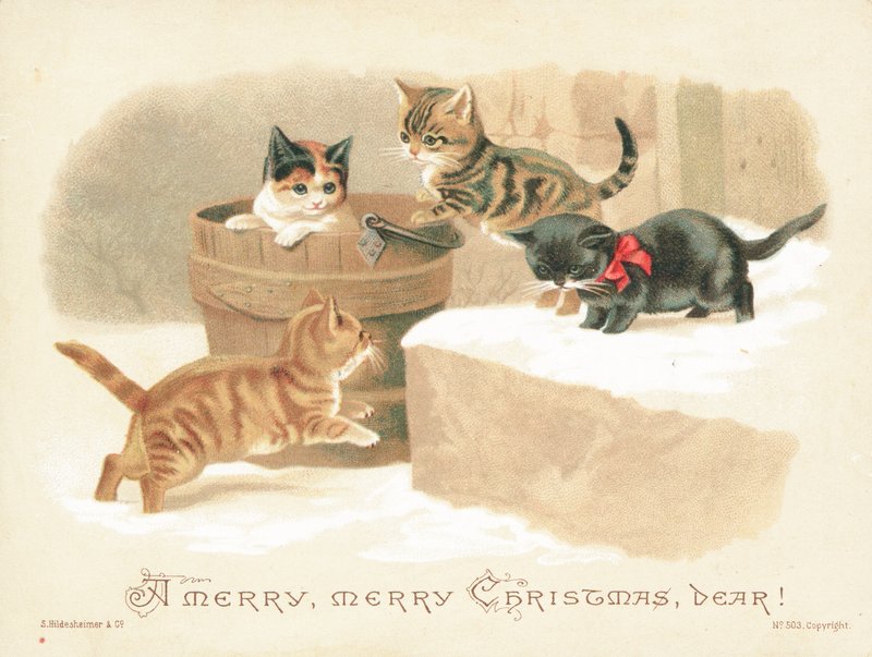 Quatro gatinhos brincando, cartão de Natal de English School