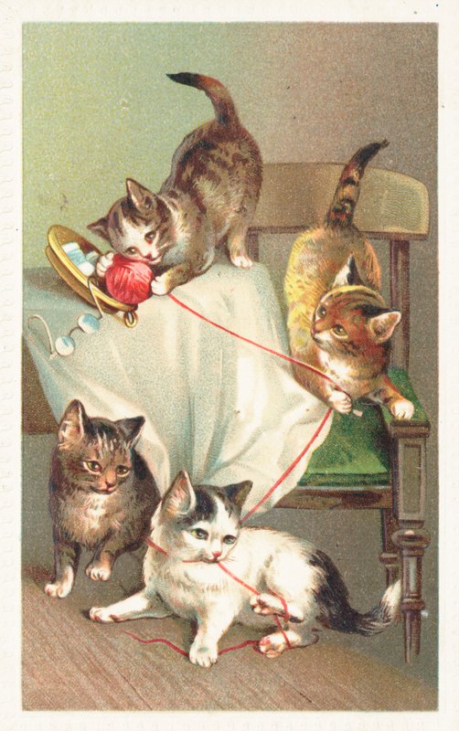 Quatro gatos brincando com uma bola de lã de English School