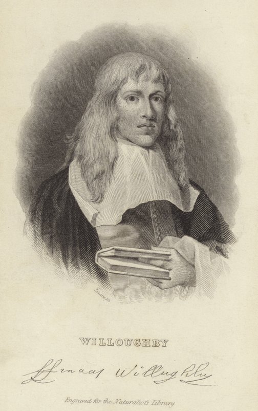 Francis Willughby de English School