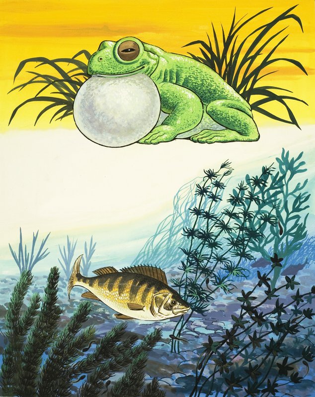 Sapo e peixe de English School