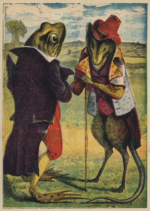O sapo encontra o rato (litografia a cores) de English School