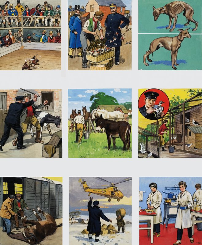 De então até agora: a história da RSPCA de English School