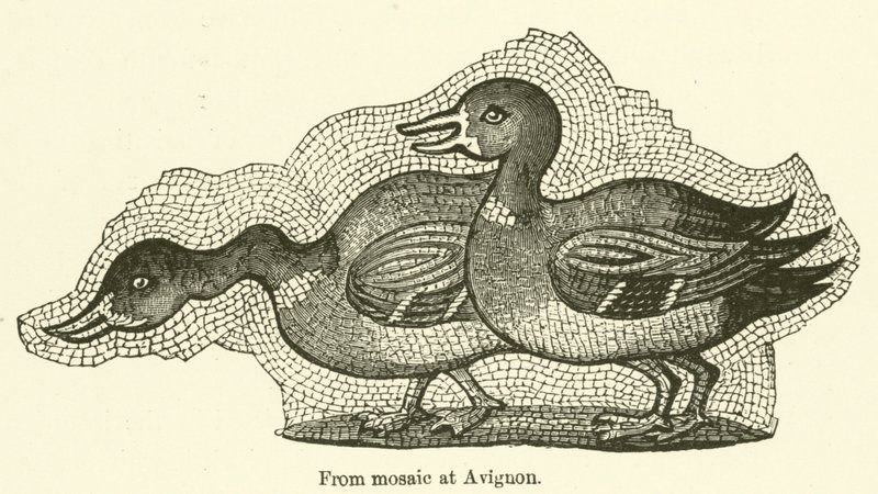 Do mosaico de Avignon (gravura) de English School
