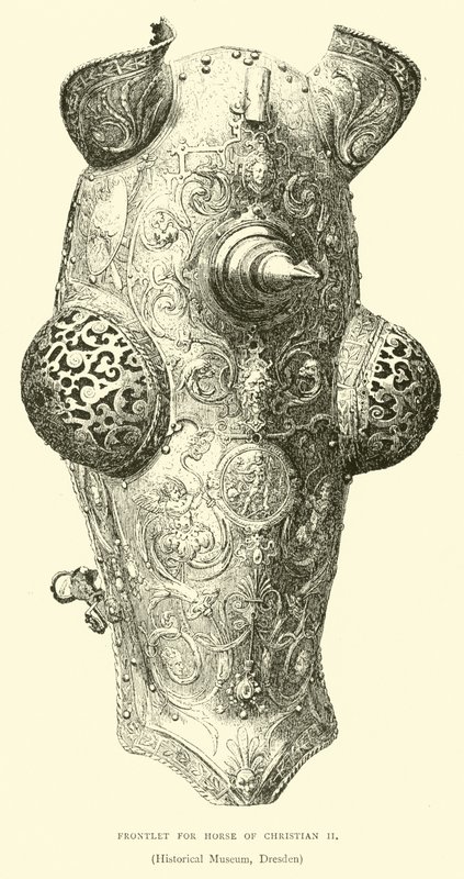 Frontlet para cavalo de Christian II de English School