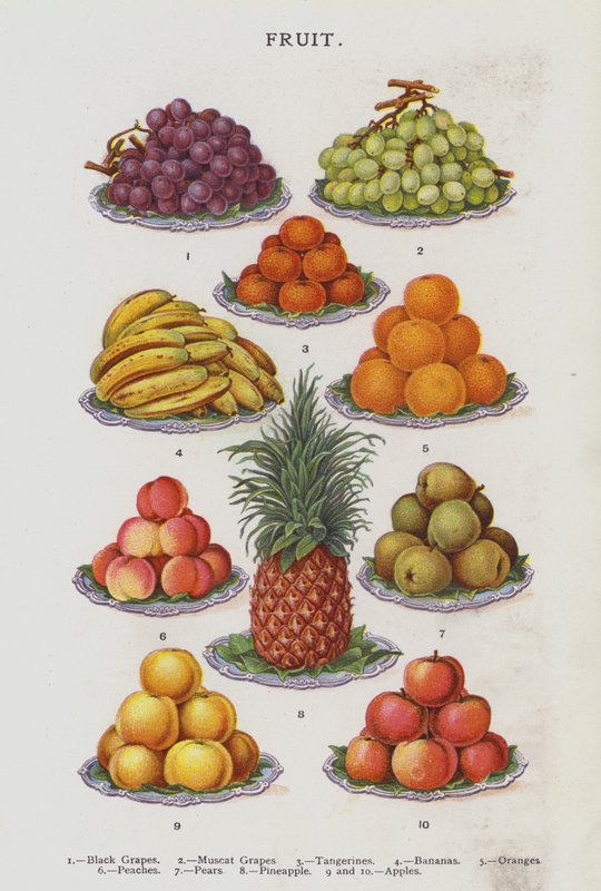 Fruto (cromolito) de English School