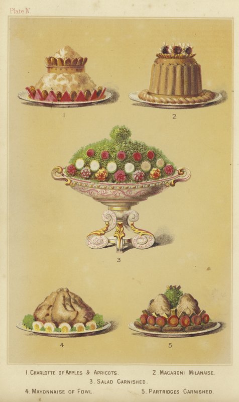Pratos de frutas e aves de English School