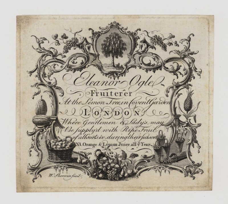Fruiterer, Eleanor Ogle, cartão de comércio de English School