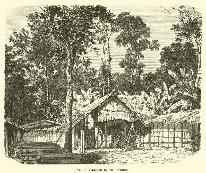 Aldeia do Gabão na floresta de English School