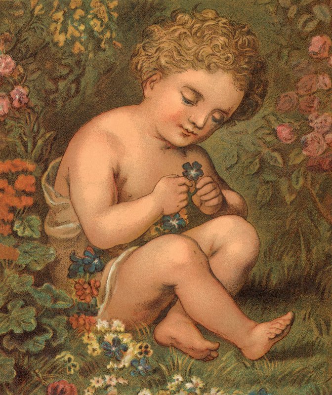 Flores de Jardim (cor litho) de English School