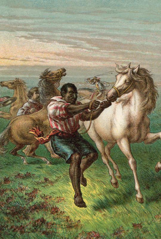 Troopers de Garibaldi quebrando cavalos selvagens de English School