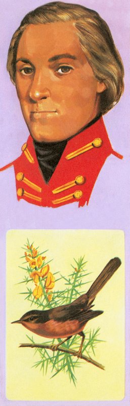 George Montagu de English School