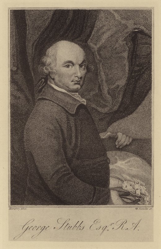 George Stubbs de English School