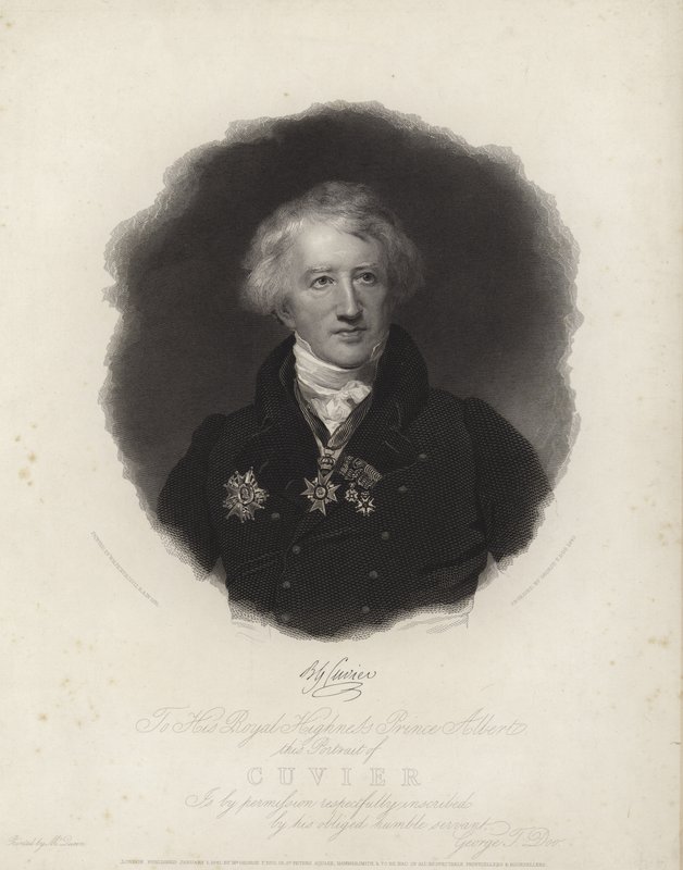 Georges Cuvier de English School